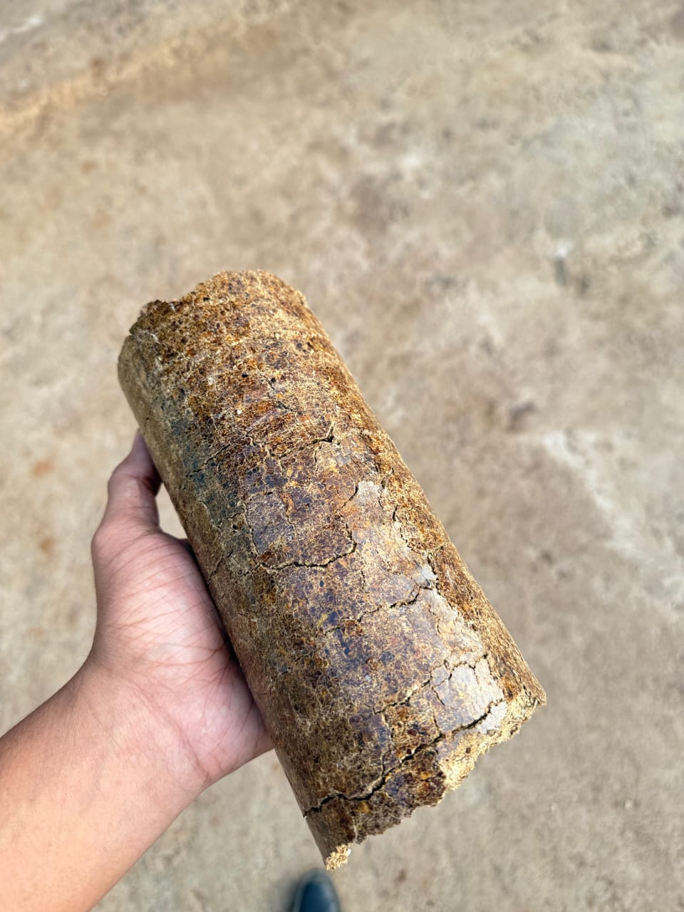 Musterd briquettes